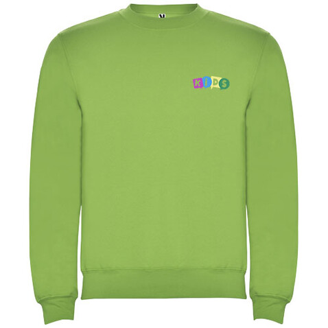 Clasica Sweatshirt mit Rundhalsausschnitt für Kinder, Oasis Green bedrucken, Art.-Nr. K10705RG
