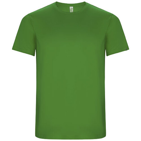 Imola Sport T-Shirt für Herren, farngrün bedrucken, Art.-Nr. R04275D1