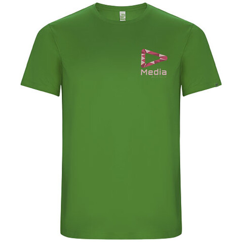 Imola Sport T-Shirt für Herren, farngrün bedrucken, Art.-Nr. R04275D1