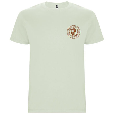 Stafford T-Shirt für Herren, Mist Green bedrucken, Art.-Nr. R66815Q3