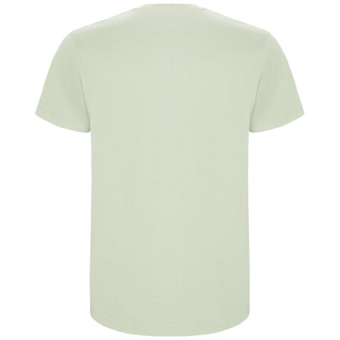Stafford T-Shirt für Herren, Mist Green bedrucken, Art.-Nr. R66815Q1