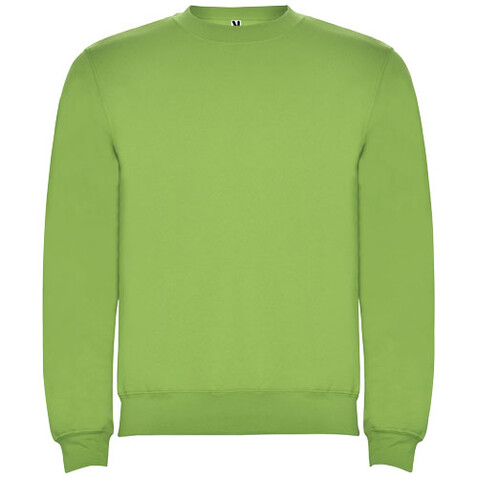 Clasica Sweatshirt mit Rundhalsausschnitt für Kinder, Oasis Green bedrucken, Art.-Nr. K10705RG