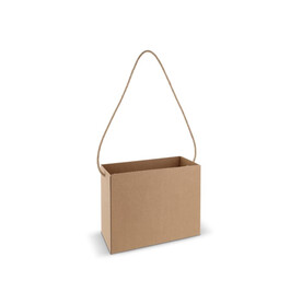 Karton-Tasche 32x16x24cm - Braun bedrucken, Art.-Nr. LT91634-N0051