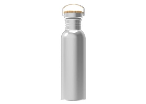 Wasserflasche Ashton 750ml - Silber bedrucken, Art.-Nr. LT98885-N0005