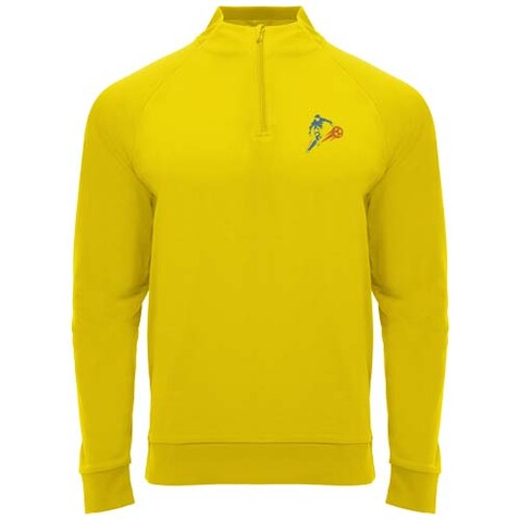 Epiro Half-Zip Sweatshirt Unisex, gelb bedrucken, Art.-Nr. R11151B1