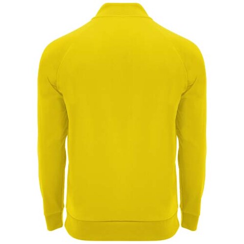Epiro Half-Zip Sweatshirt Unisex, gelb bedrucken, Art.-Nr. R11151B1