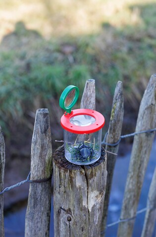 Vergrößerungsglas Sunlit – Hellgrün bedrucken, Art.-Nr. 029999999_1454842