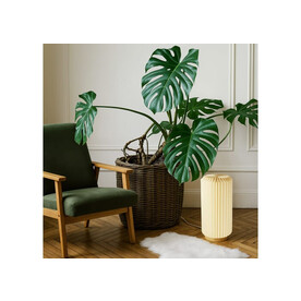 Coollux faltbare Papier-LED-Lampe Aurora Tall auf Holzsockel, 32cm - Natur bedrucken, Art.-Nr. LT40726-N0094