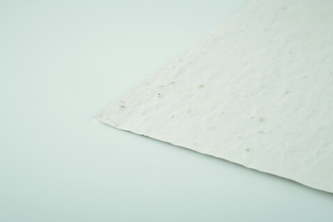 DIN A6 Wildblumen-Samenpapier - Weiß bedrucken, Art.-Nr. MO6916-06 DIN A6 Wildblumen-Samenpapier - Weiß bedrucken, Art.-Nr. MO6916-06