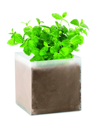 Pflanz-Set "Minze" - Beige bedrucken, Art.-Nr. MO9546-13 Pflanz-Set "Minze" - Beige bedrucken, Art.-Nr. MO9546-13