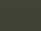B &amp; C Organic Inspire Plus T /women, Urban Khaki, 2XL bedrucken, Art.-Nr. 024427367