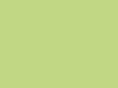 Kustom Kit Ladies` Classic Fit Polo Superwash® 60º, Lime, M bedrucken, Art.-Nr. 042115214