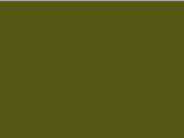 BabyBugz Baby T-Shirt, Light Olive Organic, 3-6 bedrucken, Art.-Nr. 047475292
