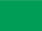 Fruit of the Loom Ladies` Valueweight T, Heather Green, M (12) bedrucken, Art.-Nr. 136015064