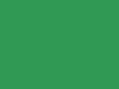 B &amp; C Exact 150/kids T-Shirt, Kelly Green, 9/11 (134/146) bedrucken, Art.-Nr. 158425186