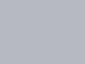 Russell Europe Ladies` HD Hooded Sweat, Silver Marl, XL bedrucken, Art.-Nr. 224007156 Russell Europe Ladies` HD Hooded Sweat, Silver Marl, XL bedrucken, Art.-Nr. 224007156