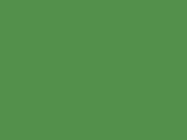 Result Womens Norse Outdoor Fleece, Vivid Green, XS bedrucken, Art.-Nr. 815335022