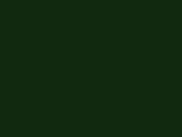 B &amp; C #organic inspire E150 /women, Forest Green, L bedrucken, Art.-Nr. 002425415