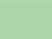 Fruit of the Loom Ladies` Iconic 150 T, Neomint, M bedrucken, Art.-Nr. 112015134