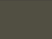 Russell Europe Ladies´ Pure Organic Tee, Dark Olive, 2XL bedrucken, Art.-Nr. 120005347