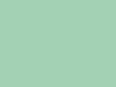 Gildan Softstyle Adult T-Shirt, Mint Green, 2XL bedrucken, Art.-Nr. 150095147