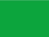 Stedman LUX for women, Kelly Green, L bedrucken, Art.-Nr. 163055185