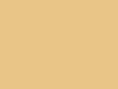 Beechfield Organic Cotton Trucker, Sand, One Size bedrucken, Art.-Nr. 929697410